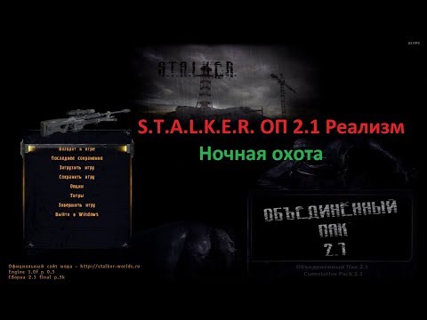 Видео: S.T.A.L.K.E.R. ОП 2.1 Реализм. Ночная охота