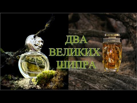 Видео: La Panthère Parfum Cartier и Soir de Lune Sisley. Великие шипры!