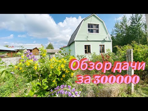 Видео: Дача с Авито.Обзор.  #3