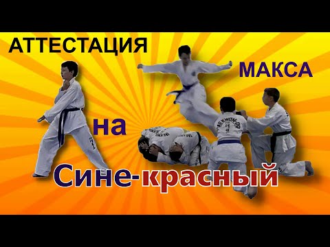 Видео: Как МАКС аттестовался на СИНЕ-КРАСНЫЙ пояс! Тхэквондо итф