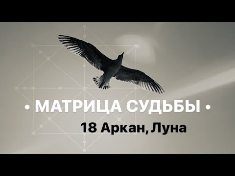 Видео: 18 Аркан, ЛУНА, МАТРИЦА СУДЬБЫ