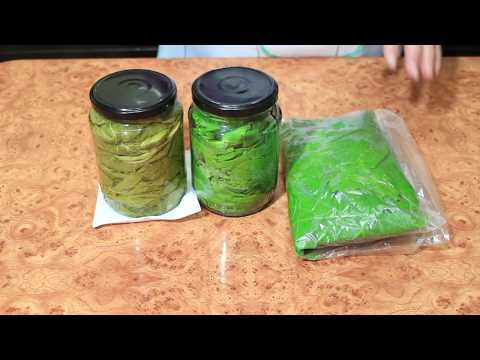 Видео: З ПРОСТЫХ СПОСОБА ЗАГОТОВКИ ВИНОГРАДНЫХ ЛИСТЬЕВ НА ЗИМУ / AY COOK