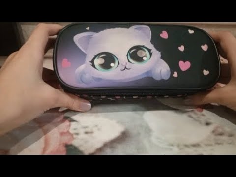 Видео: Обзор ПЕНАЛА ШЕСТИКЛАССНИЦЫ🐾 Что ЛЕЖИТ? 💫✨