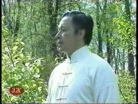 Видео: 24 формы Чень   фильм на русском