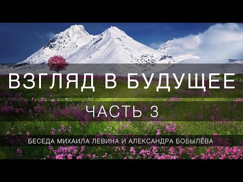 Видео: Взгляд в будущее, часть 3 // беседа Михаила Левина с Александром Бобылёвым