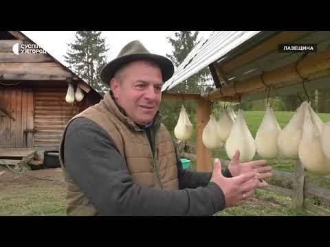 Видео: Вихід на полонини в Лазещині. Традиційне гуцульське свято «Міра»