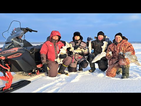 Видео: ЗИМНЯЯ РЫБАЛКА - ПРОЩАЙ! Последний лед 2025. Вечерняя Раздача Судака. Подводная съемка.