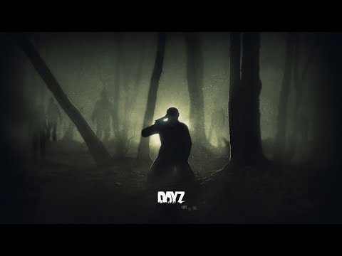 Видео: А###ТЬ DAYZ !!