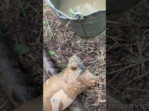 Видео: Артезианская скважина 40м за сутки.