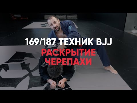 Видео: Раскрытие черепахи / БЖЖ