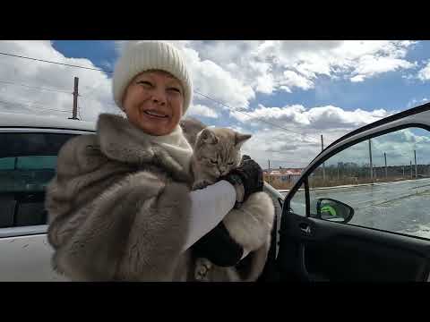 Видео: 10.04.23 Рейс в #иркутск #3 (#шелехово - иркутск - #ангарск  )  #котдальнобой встреча с подписчицей)