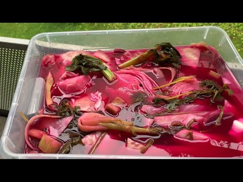 Видео: Խրթխրթան կաղամբի թթու/Արագ թթվող փորձված բաղադրատոմս/ Маринованная капуста со свёклой/Chou mariné