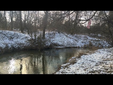 Видео: Однодневный зимний поход вдоль реки Волма и реки Ислочь