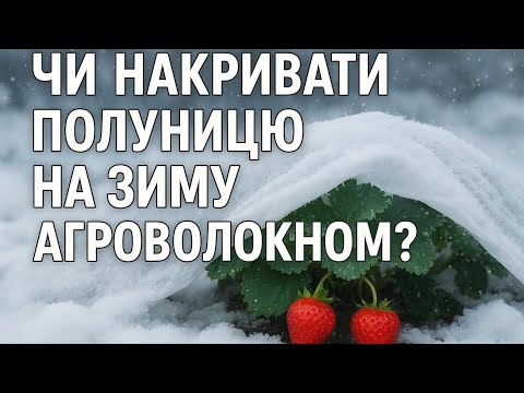 Видео: Чи накривати Полуницю на зиму? Плюси та мінуси!!!