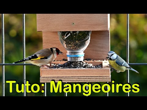 Видео: Как сделать кормушку и дозатор семян для птиц в саду