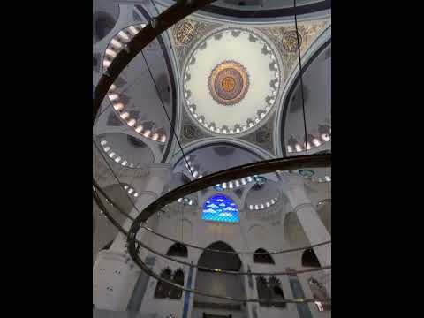 Видео: 2022 ж. 10 мамыр