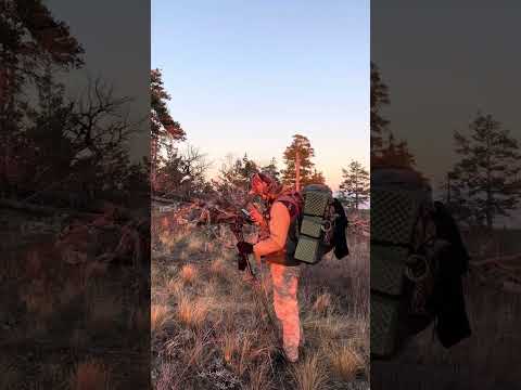 Видео: Больше-Тюктинское урочище. Двух дневный поход с Синегорским рейнджером.