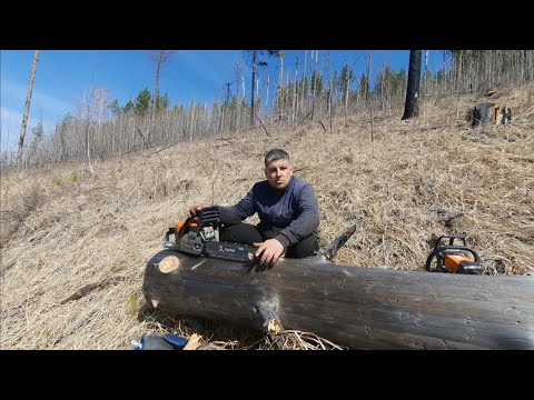 Видео: ЗАГОТОВКА ДРОВ. ПЕРВАЯ ВЫГРУЗКА САМОСВАЛА.