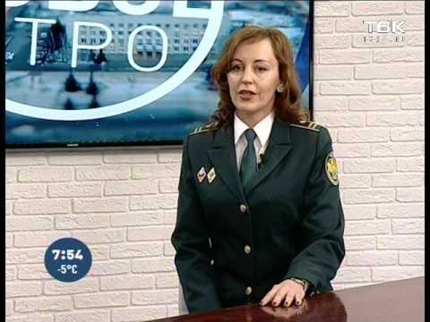 Видео: Чем занимается таможня