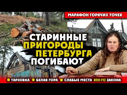 Видео: Старинные пригороды Петербурга погибают. Анна Шушпанова о дачах в Тарховке и застройке Белой горы