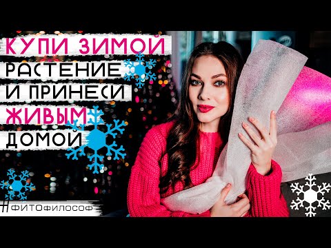 Видео: Моя супер ТЕПЛАЯ🔥УПАКОВКА. Как я покупаю растения ЗИМОЙ❄️ без машины и доставки. Все цветы выжили👍