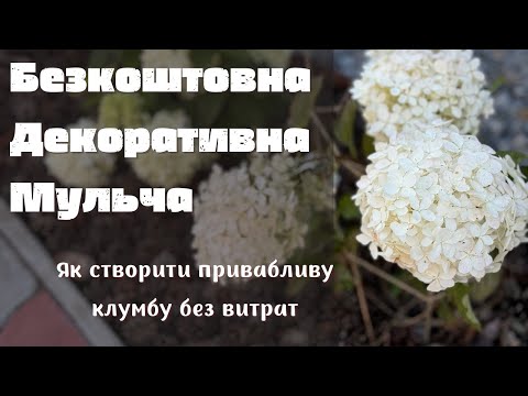 Видео: Безкоштовна Декоративна МУЛЬЧА для клумби 💡 Цей ЛАЙФХАК збереже ваші ГРОЩІ!