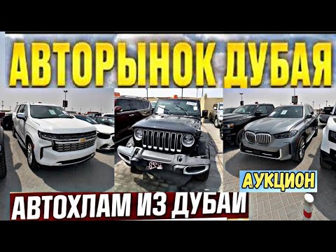 Видео: Авторынок Дубай. Cars | Авто подбор Дубай  [264]