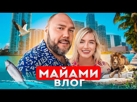 Видео: Медовый месяц в Майами с детьми! Что ожидать от девчонок АМЕГА Family