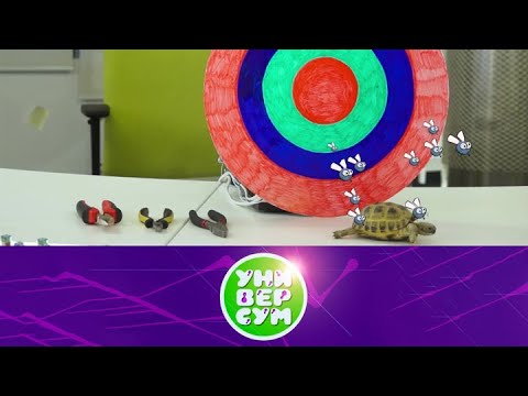 Видео: Универсум. Динамики | Телеканал Карусель