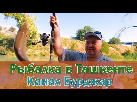 Видео: Рыбалка в Ташкенте - Канал Бурджар