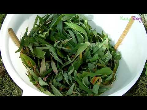 Видео: Как я сделал роллер для иван-чая