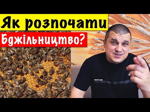 Видео: Як розпочати власне Бджільництво?  🐝