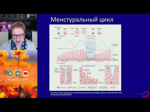Видео: Недостаточность лютеиновой фазы l Пустотина О. А.