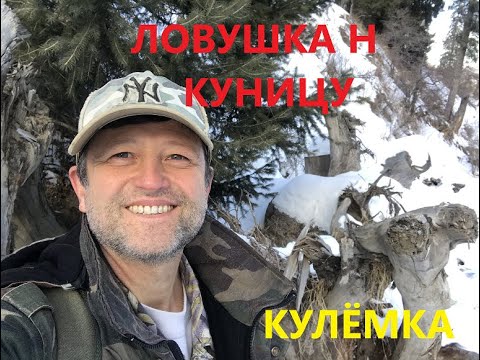 Видео: Ловушка на куницу или соболя (КУЛЁМКА).