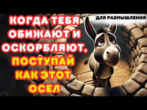 Видео: ОСЕЛ, КОТОРЫЙ БЫЛ ВБРОШЕН В КОЛОДЕЦ - Истории для РАЗМЫШЛЕНИЯ в кругу семьи