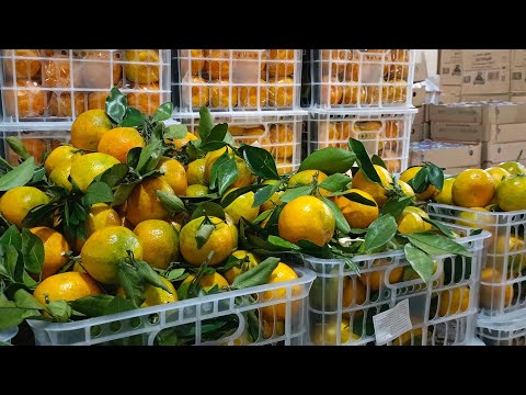 Видео: 🚦СВЕТОФОР✅ПОРАДОВАЛ🚦МНОГО ПОЛЕЗНОГО ПРИВЁЗ ноябрь 2025