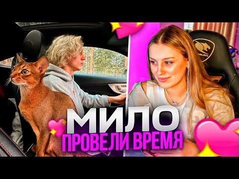 Видео: КАЯ про 14 ФЕВРАЛЯ с ПАРАДЕЕВИЧЕМ + ИСТОРИИ