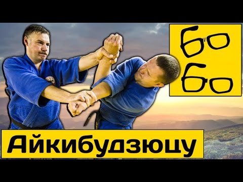 Видео: Как совместить бокс и искусство самурайского боя — Олег Давыдовский о школе Айкибудзюцу Сасори-кан