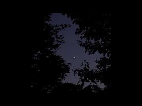 Видео: платина - питер пэн [demo] [slowed and reverb]