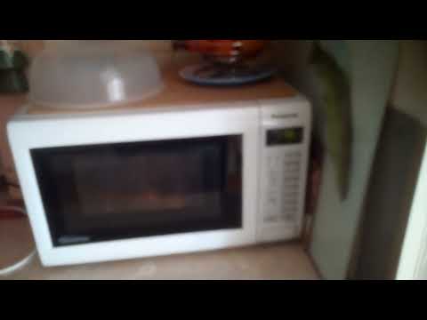 Видео: Кишинёв Молдова Троллейбус Автобус Старый Новый Телефон Компьютер Планшет Цифровое Телесемейство (6)