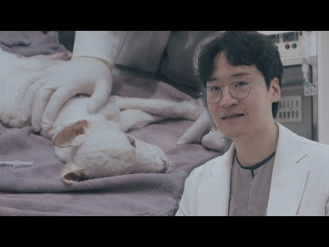 Видео: Я ветеринар с 0 баллами (Тедди закрыл глаза впервые после госпитализации) — Тедди, часть 3