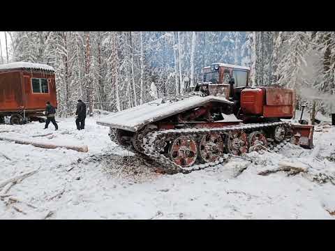 Видео: Заводят очень усталый ТДТ 55 .