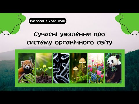 Видео: Біологія 7 клас НУШ Сучасні уявлення про систему органічного світу