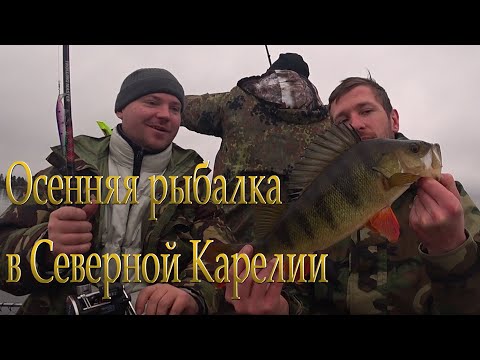 Видео: Отдых и рыбалка в Северной Карелии. Осень 2020. Часть 1. Искали кумжу, а нашли окуня. Лесная кухня.