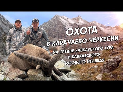 Видео: ОХОТА В КАРАЧАЕВО-ЧЕРКЕСИИ НА СРЕДНЕ-КАВКАЗСКОГО ТУРА И КАВКАЗСКОГО БУРОВОГО МЕДВЕДЯ #охота #hunting