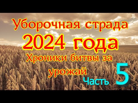 Видео: Крайний день уборочной 2024 года . Все, победа!!!