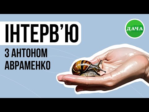 Видео: Улиточная ферма Maxi Snail l Удачный бизнес 2020