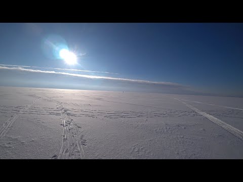 Видео: Плотва. Окунь. Рыбалка 12.02.24. Зеленогорск.