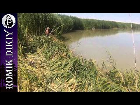 Видео: Рыбалка в дельте р. Или. (19-21 июня 2015г).