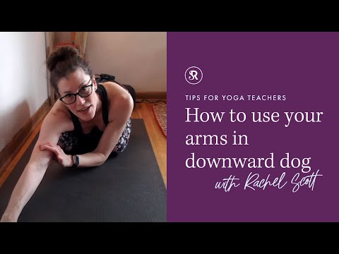 Видео: Как использовать руки в позе собаки мордой вниз: советы для преподавателей йоги